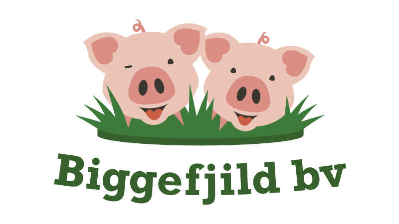 Biggefjild bv
